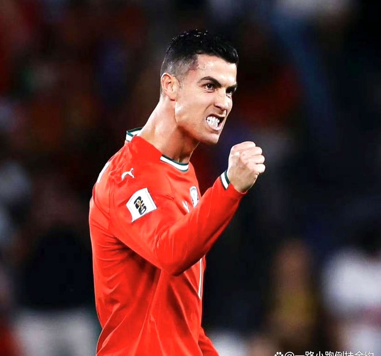 挪威篮球实力强悍，晋级世界杯八强