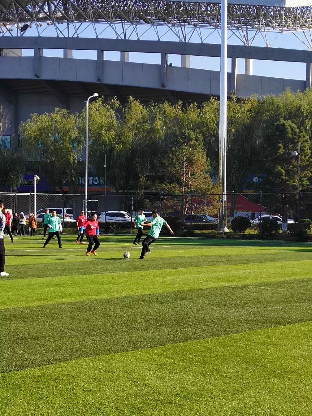 关于瑞典队壮志凌云，晋级之路扑朔迷离的信息